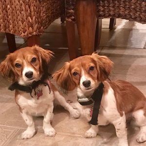 Meet your Posher, Sue